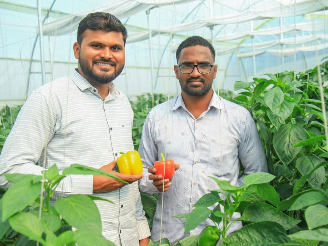 Fresh Fruits and Vegetables Buy Fruits and Vegetables Online Pluckk